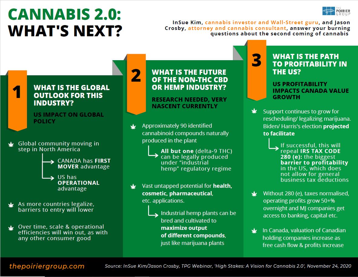 cannabis infographic