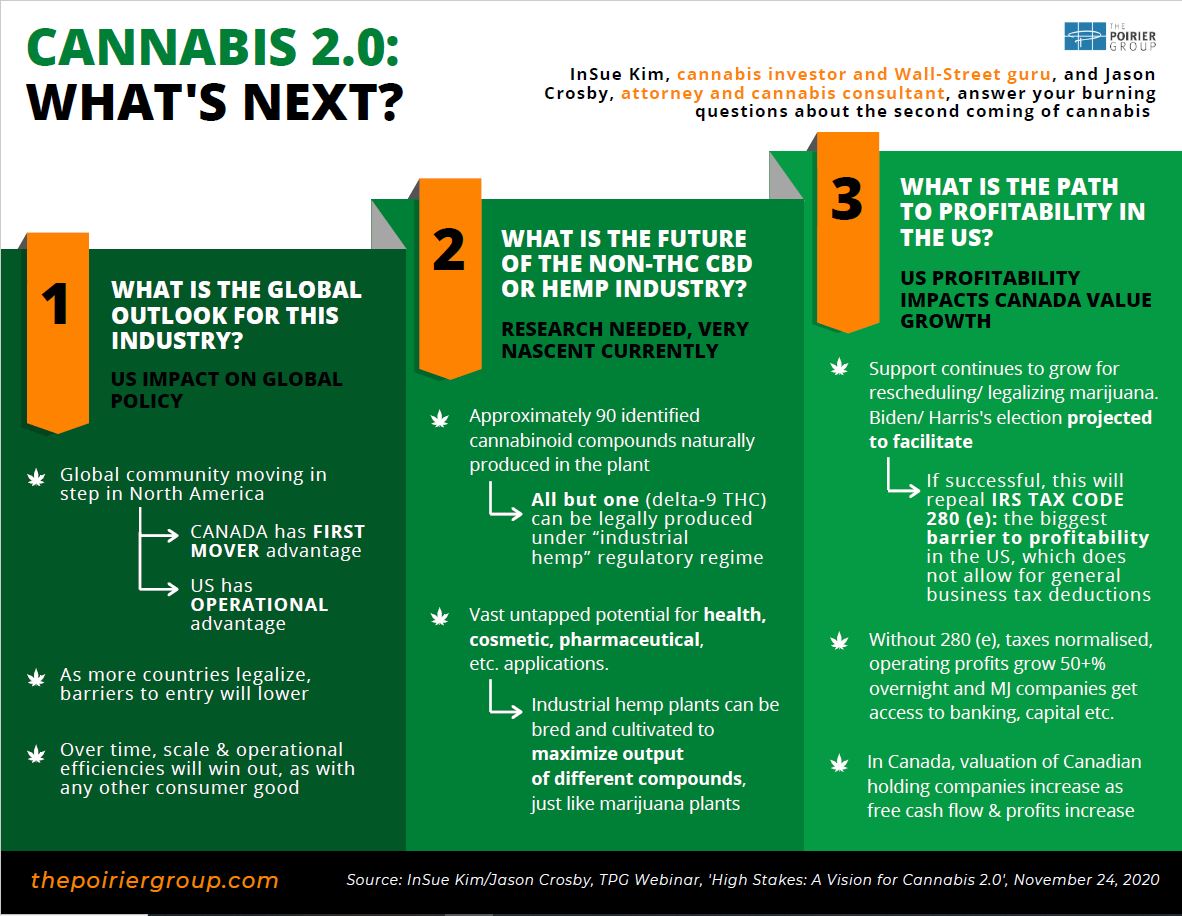 cannabis infographic